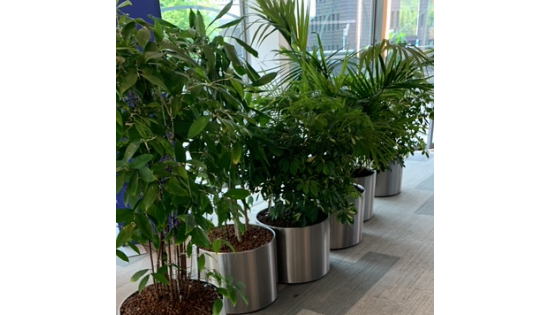 34a542d7-b1c3-4958-a41e-e2965555d890-360x356