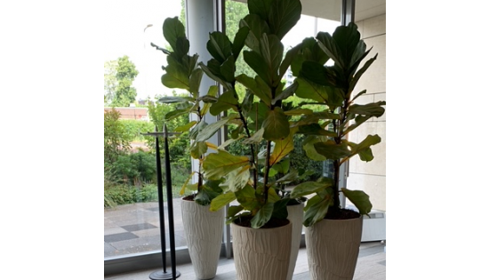 e84c1dd6-a1af-420f-83ef-2c518046da73-360x357