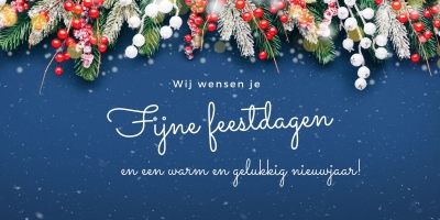 fijnefeestdagen1733396029
